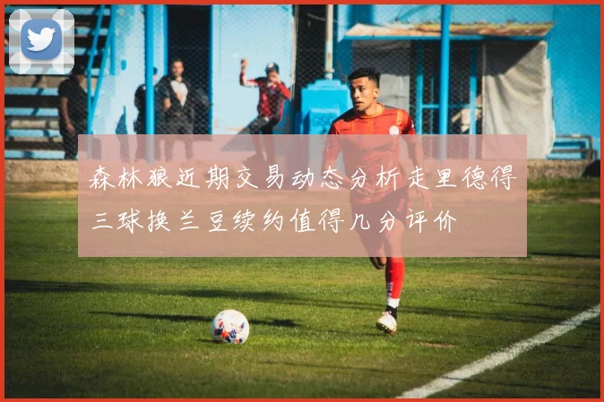 森林狼近期交易动态分析走里德得三球换兰豆续约值得几分评价
